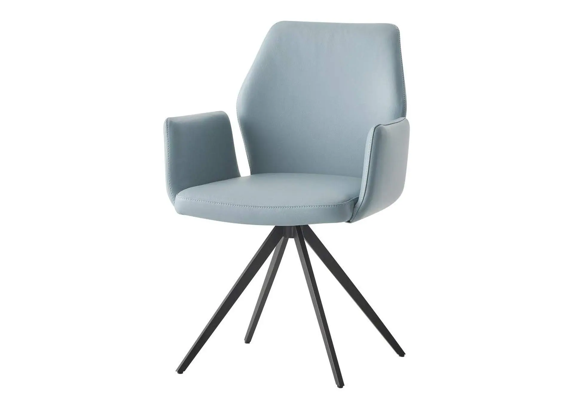 Segismunda Arm Chair with Swivel