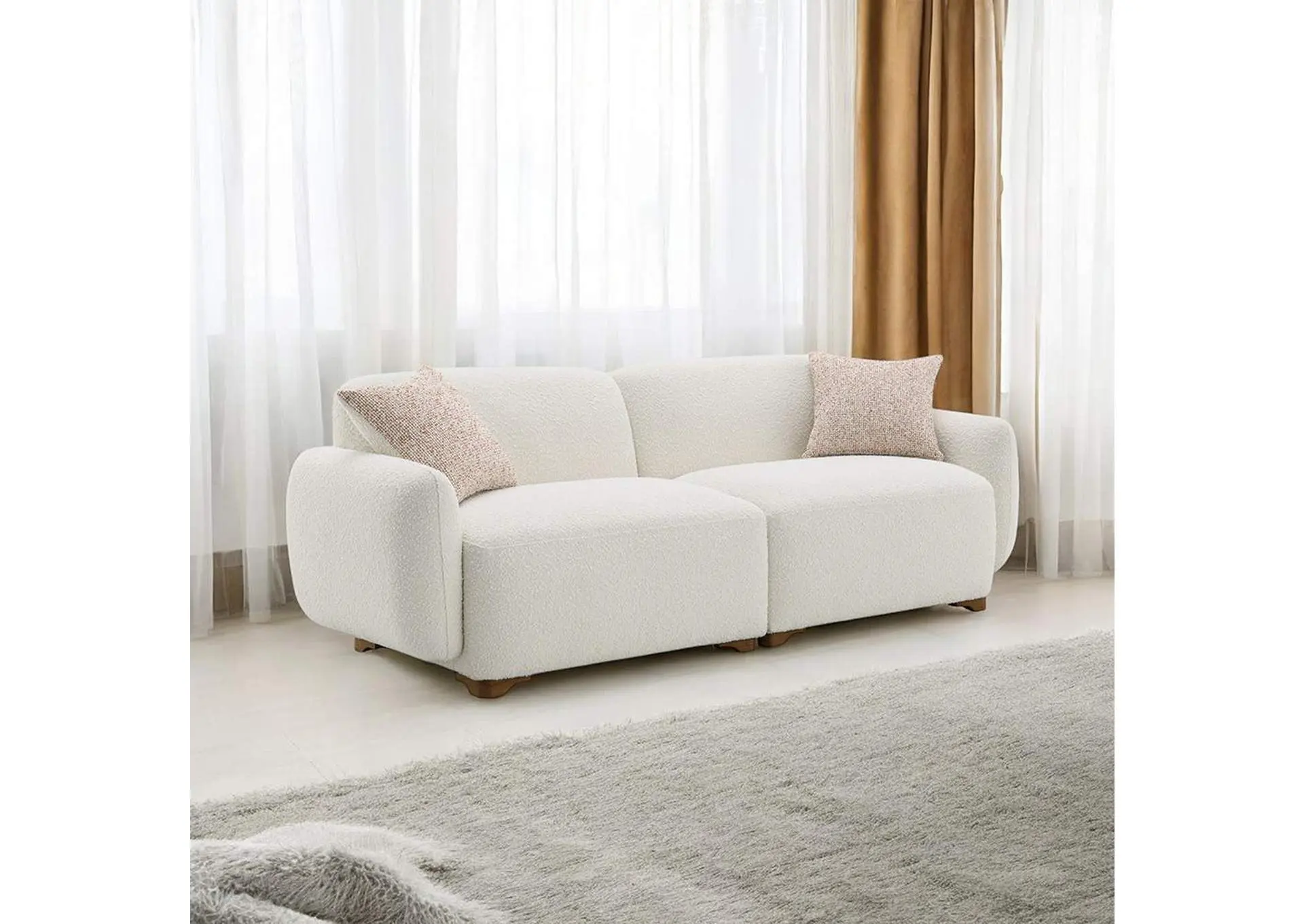 Darius Sofa with 2 Pillows