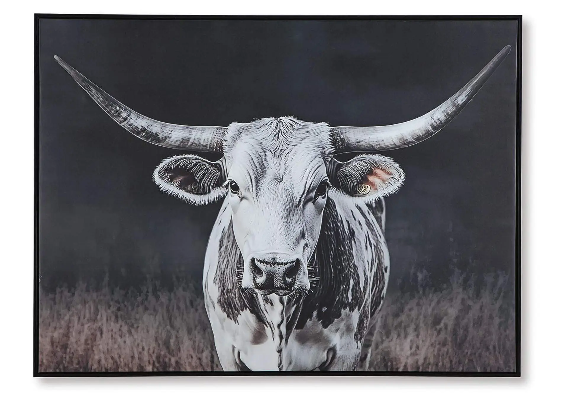 Harlandale Wall Art