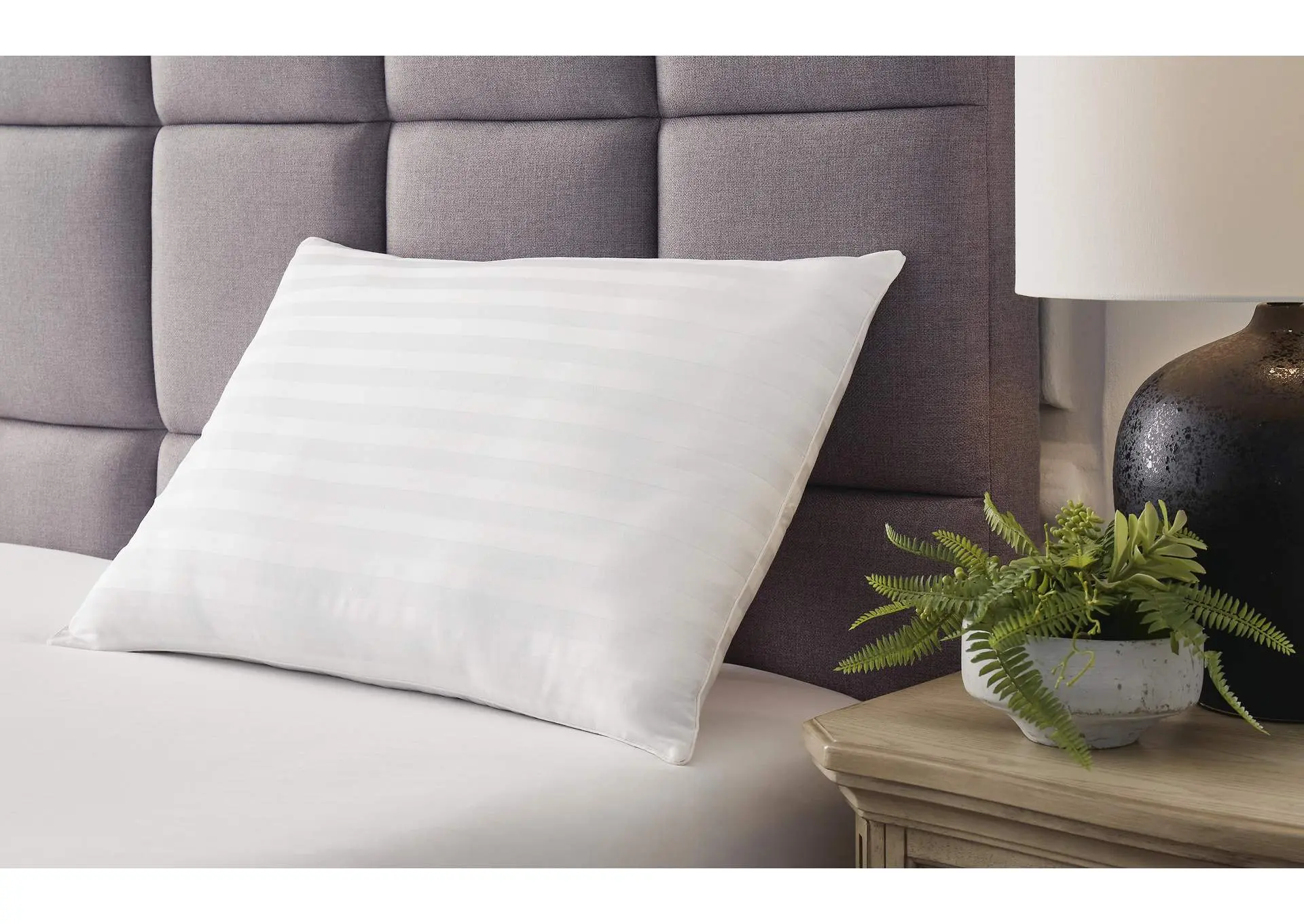Zephyr 2.0 Cotton Pillow (Set of 2) — view 2