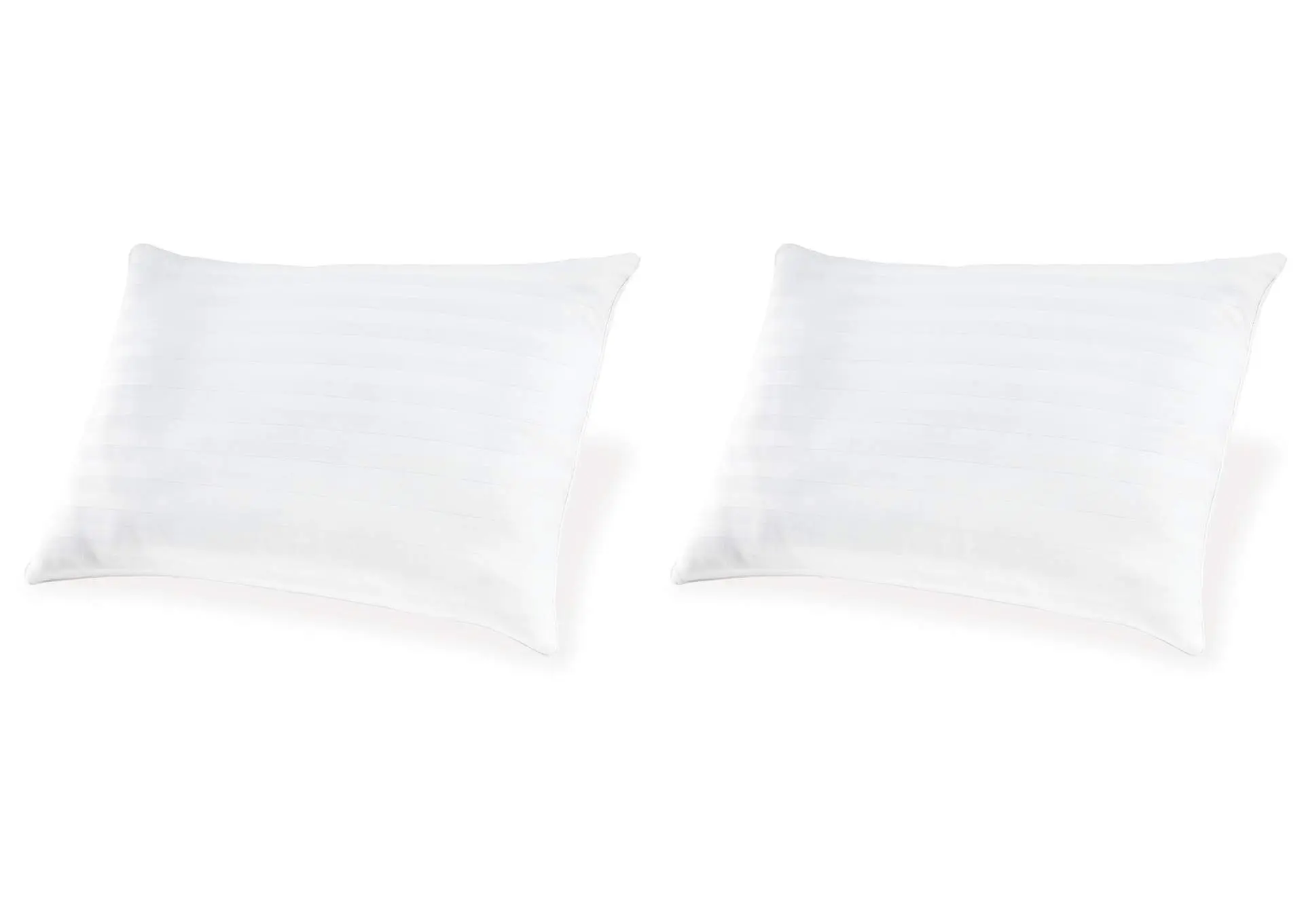 Zephyr 2.0 Cotton Pillow (Set of 2)