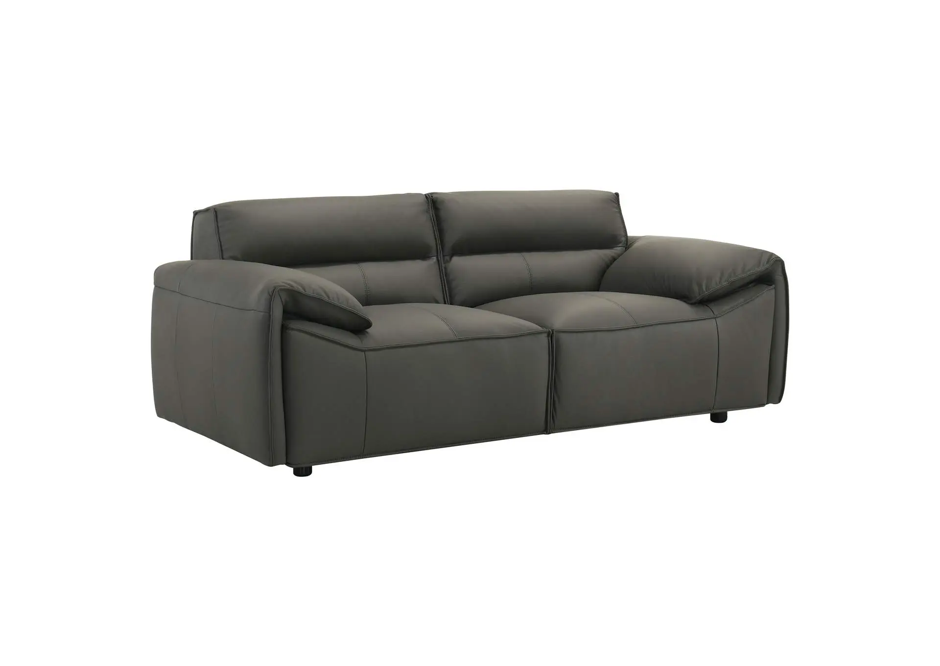 Buxton Top Grain Leather Upholstered Loveseat Graphite